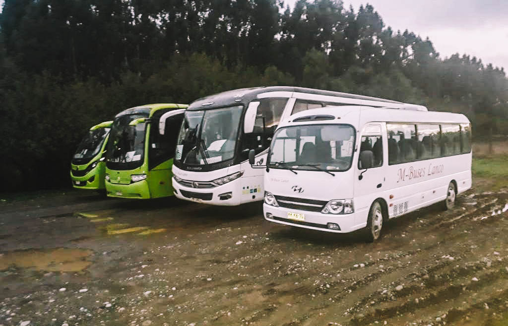 M Buses Lanco