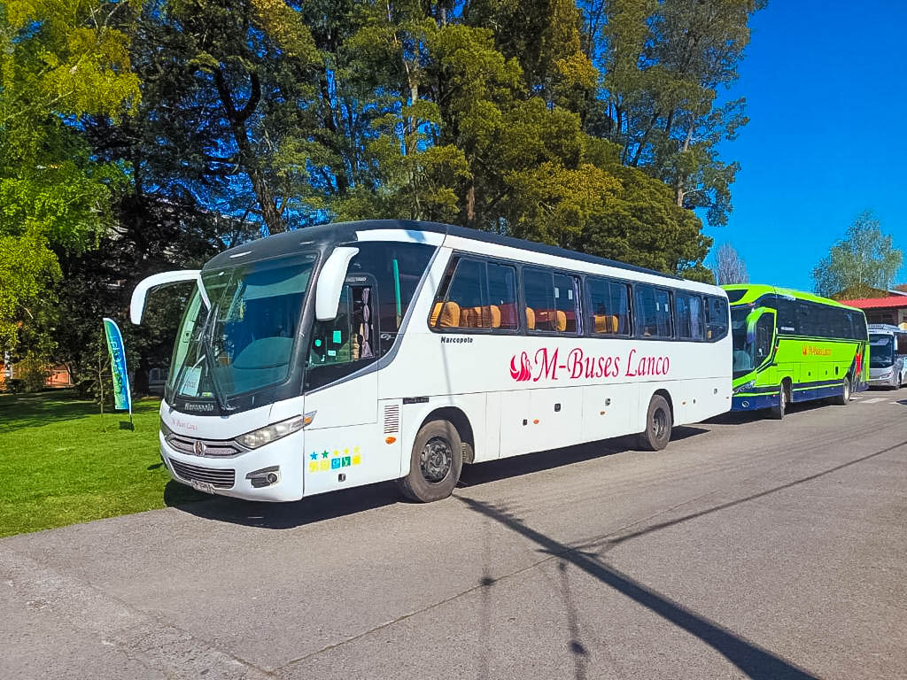 Buses de Turismo
